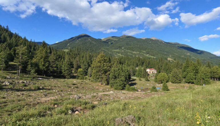 Imprimante laser ou cartouche : guide complet pour choisir en 2026