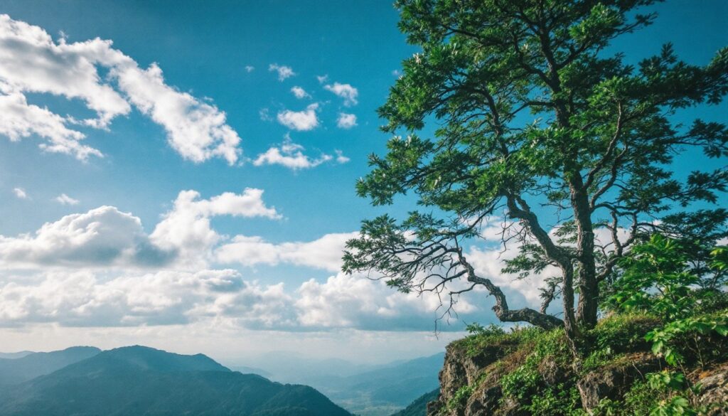 Sublimation textile en 2026 : innovations et techniques avancées pour le sport et la personnalisation